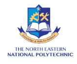 NENAP Logo